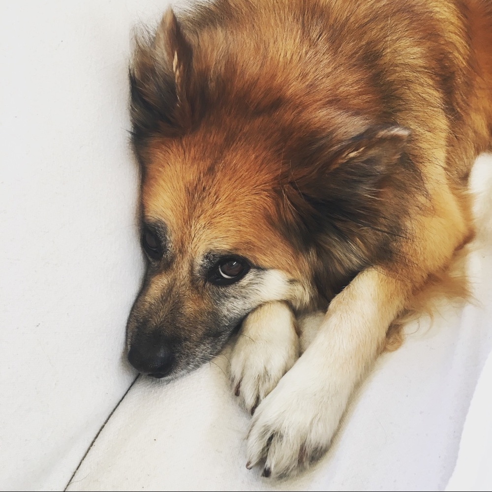 Meet your Posher, Minnow